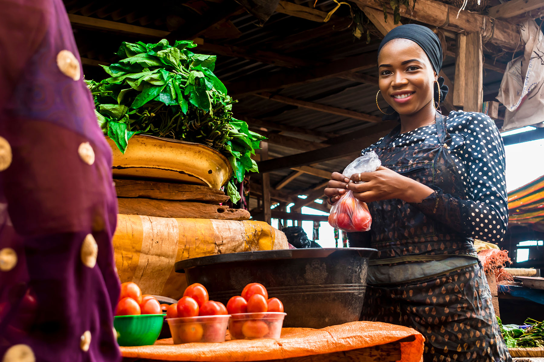 The Role of Microinsurance in Transforming Nigerian Lives