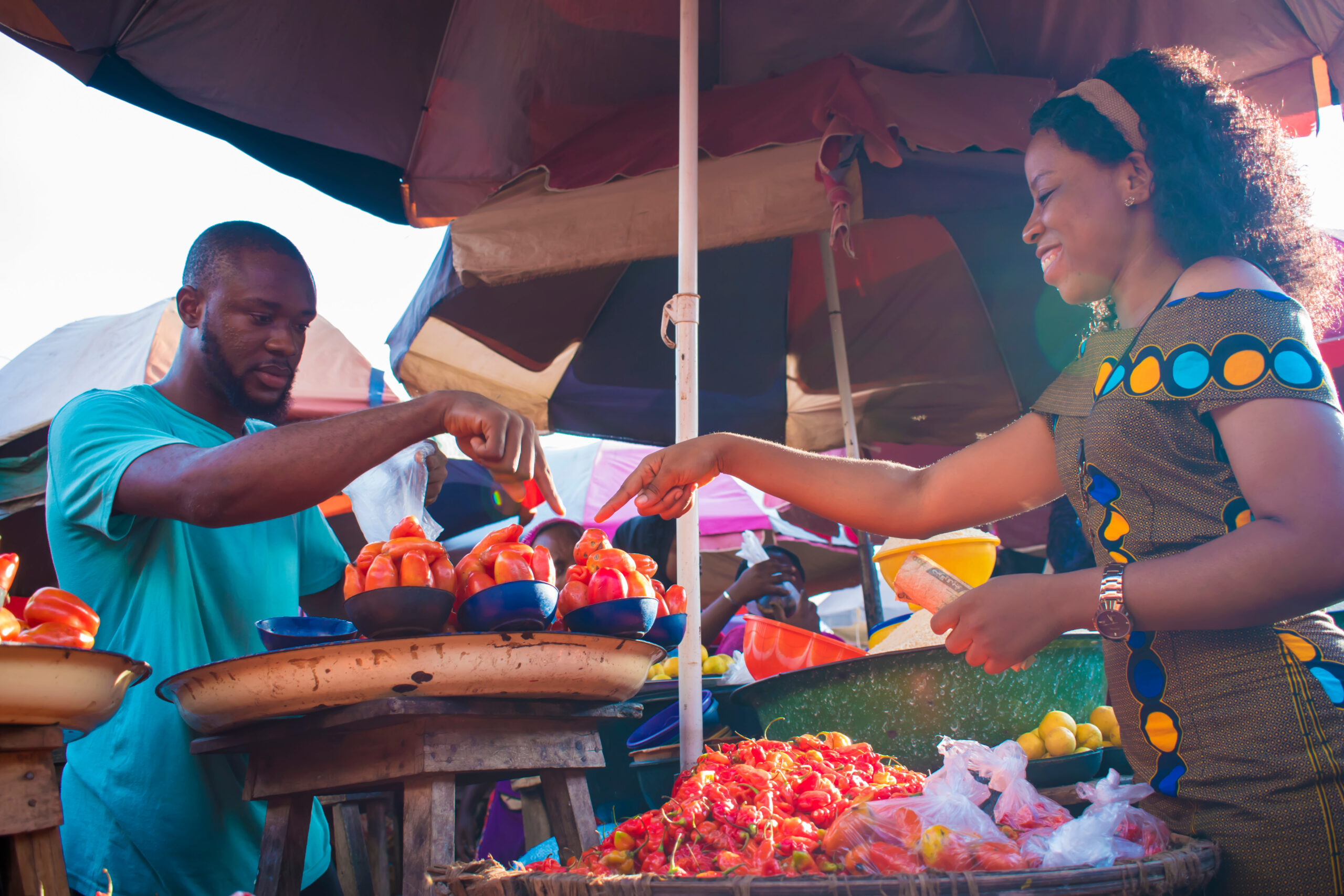 Bridging the Gap in Low-Insurance Environments: The Importance of Life Insurance for Low-Income Workers in Nigeria.